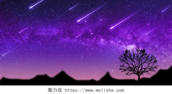 紫色场景大气光效星星树木山峰紫色星空展板背景